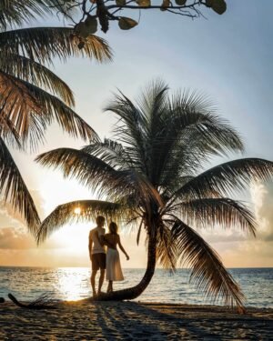 Summer Signature Scents